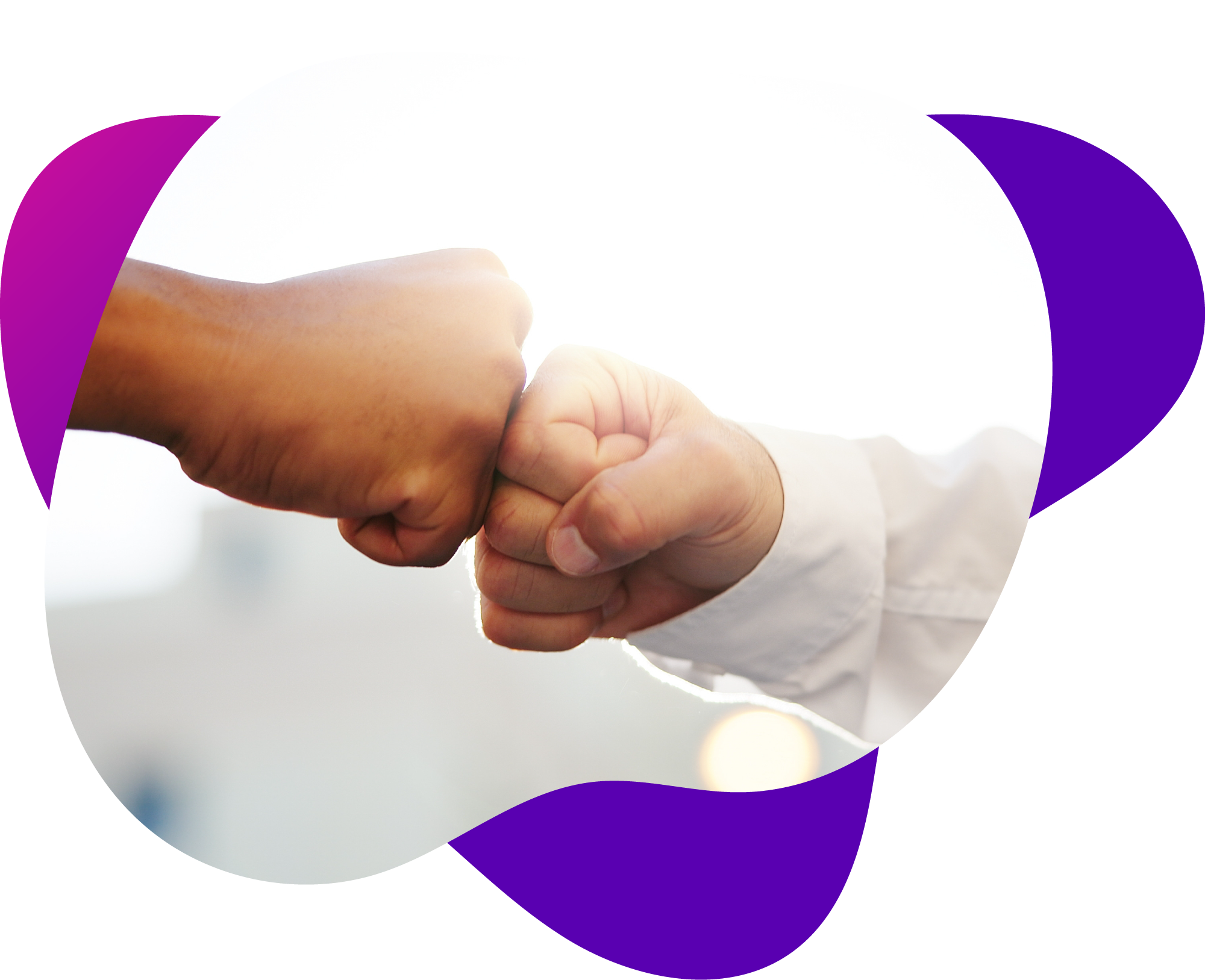 Aliado Universitario