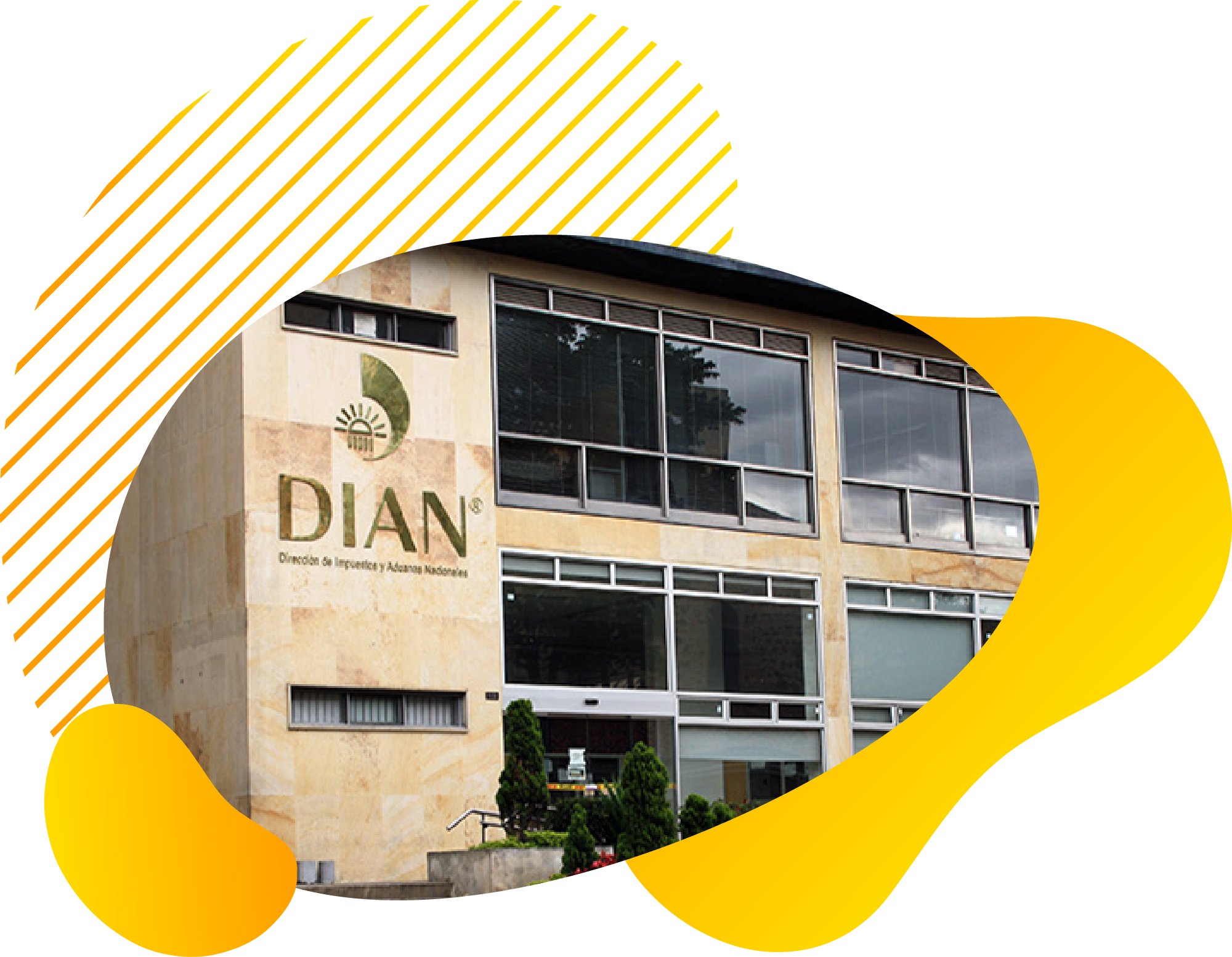 Beneficios Estudiante